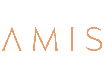 Amis Real Estate Development Logo
