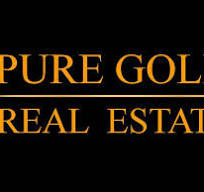 Pure Gold Real Estate Logo